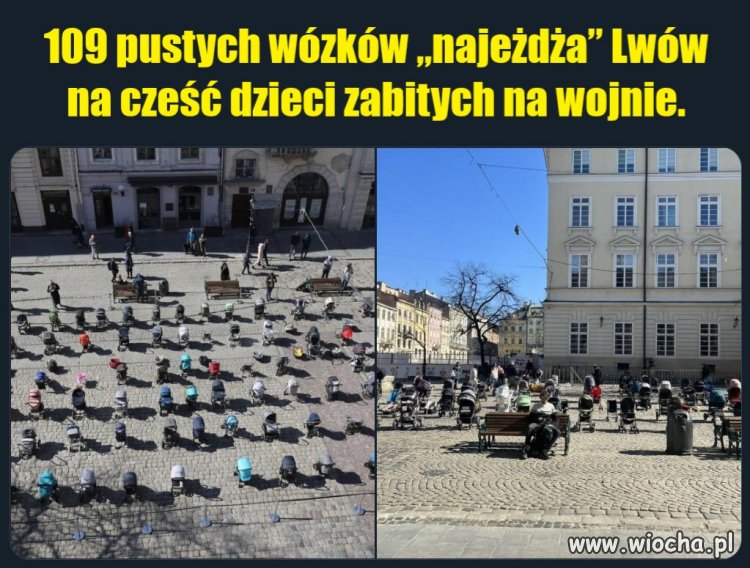 Co na to Godek?