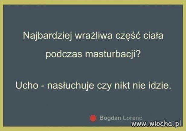 Czy to prawda pisowskie trolliki ?