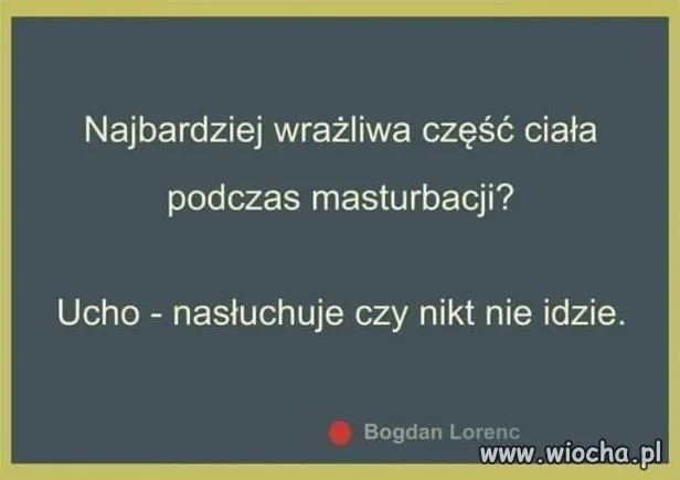 Czy to prawda pisowskie trolliki ?
