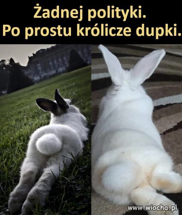 Trochę inaczej