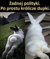 Trochę inaczej