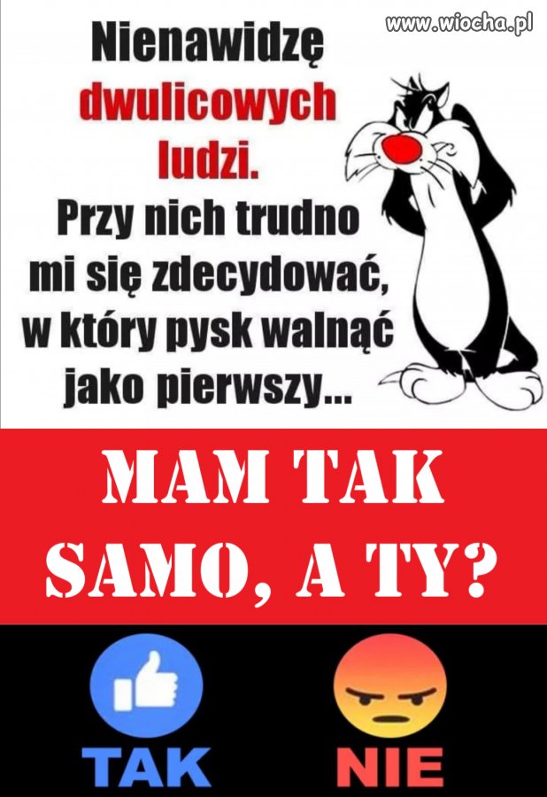 Z cyklu ''bez polityki''   