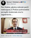 Członek, właściwe określenie tego osobnika.