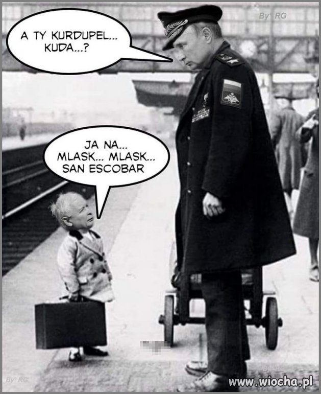 Z miejskiego minitoringu 