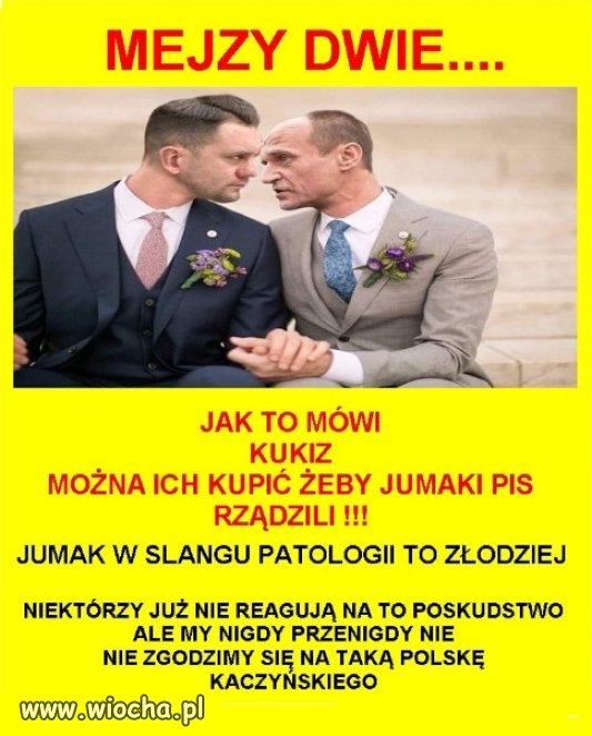 PiS to taka ``mejzowa`` partia, jeden lepszy od drugiego...