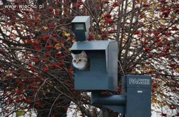 Nowe fotoradary? 