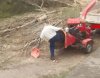 Selekcja naturalna