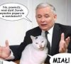 No nie mam pomysłu co tu wpisac