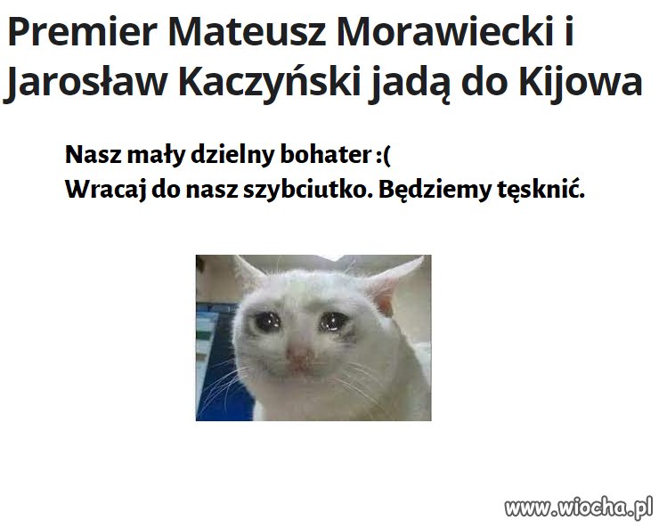 Mały dzielny rycerz.