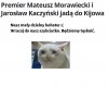Mały dzielny rycerz.
