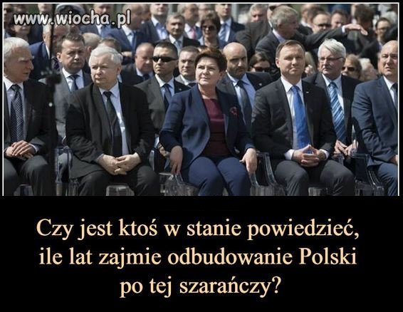 Szarańcza 