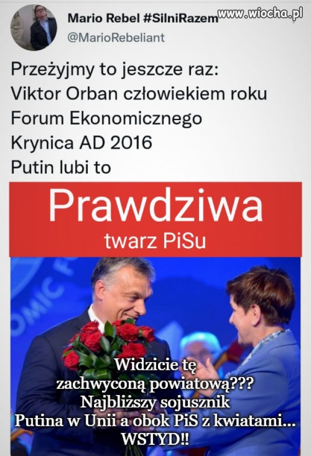 Powiatowa, oborowa 