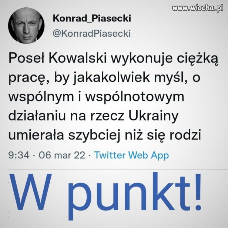 O takich jak p. Kowalski mówi się, że ich mózgi są jak żarówka.