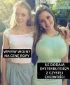 Czysta ekonomia