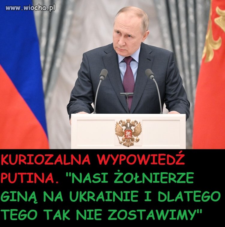 No idiota