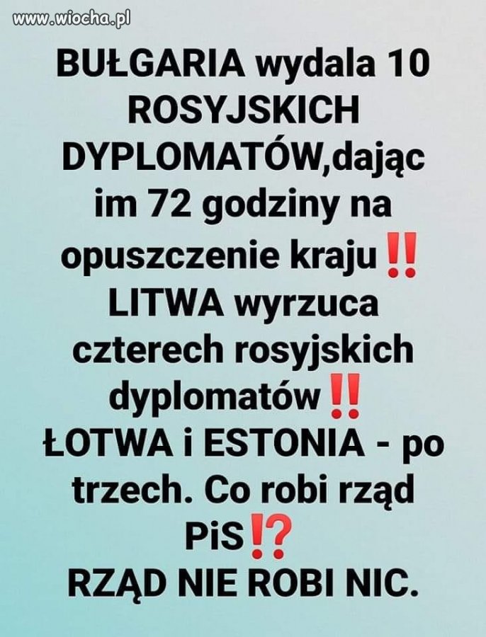 Swój swojego 