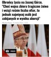 Gościu zdrowo odleciał