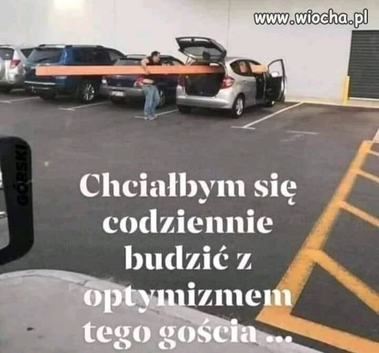 Mistrz logistyki