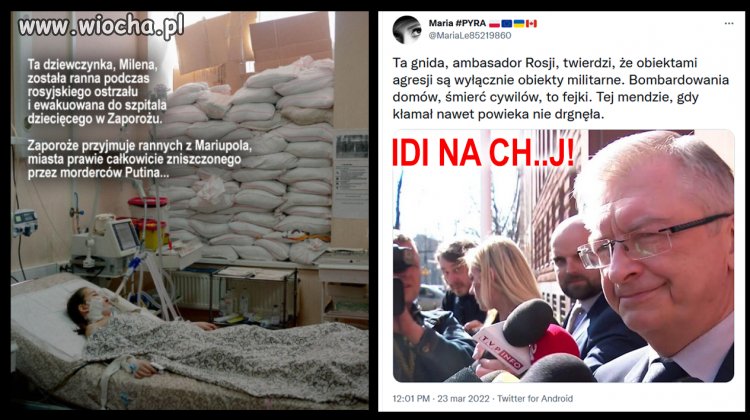 Pisi rząd wysłał w świat podobnych psich synów