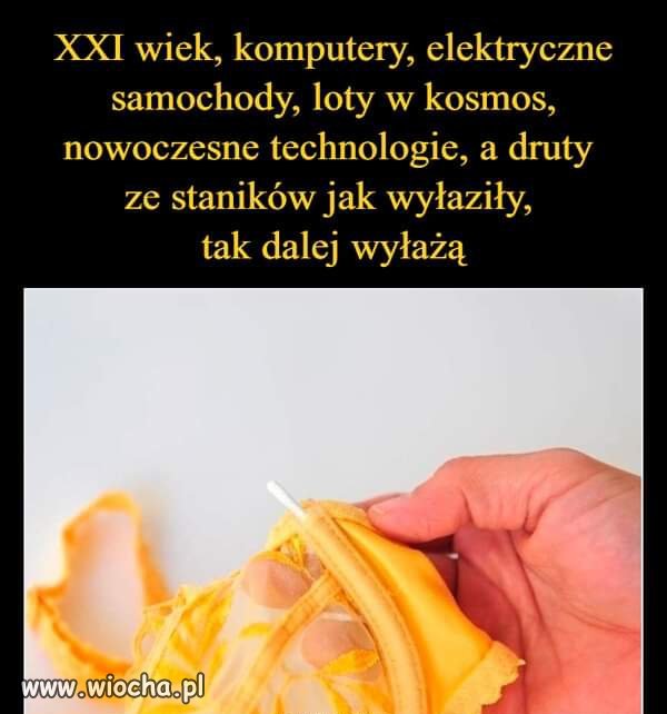 Nic się nie zmieniło 