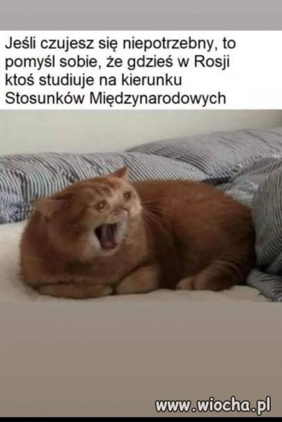Gdy czujesz się nie potrzeby 