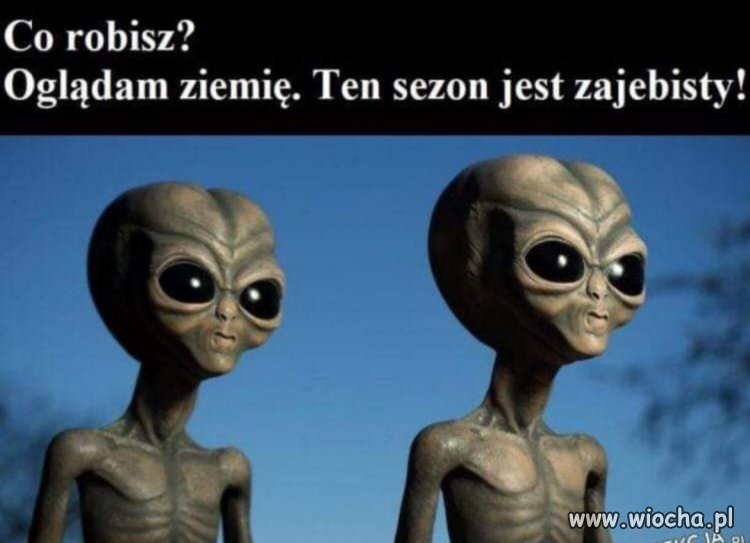 Trzeci z rzędu, co jeden to gorszy