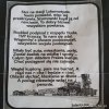 Stoi na stacji 