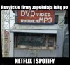 Zastąpili Netflixa i Spotify
