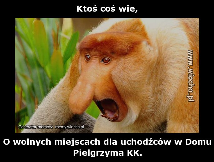 Ktoś coś wie,
