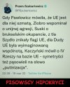 Zakłamane ryje