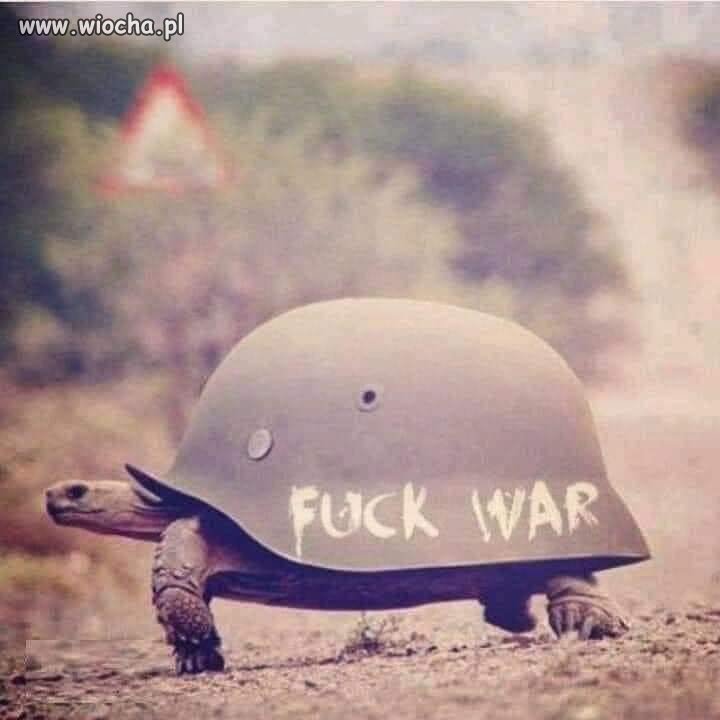 Fuck war