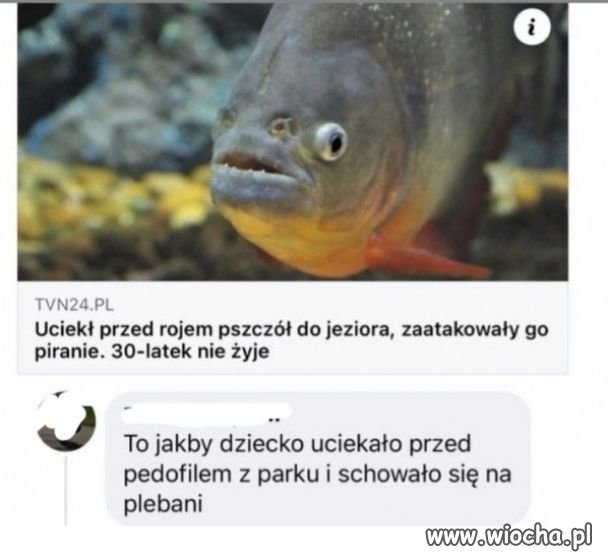 Trafne porównanie