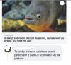 Trafne porównanie