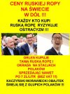 Jedyne co potrafi zgraja PiSu, to KŁAMAĆ i KRAŚĆ!