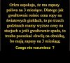 Czego nie rozumiesz? 