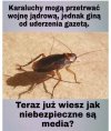 Prawdziwe 