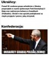 Po prostu Konfederacja