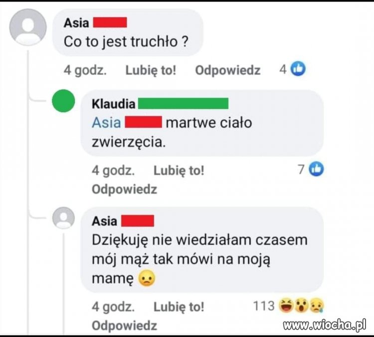 Truchło