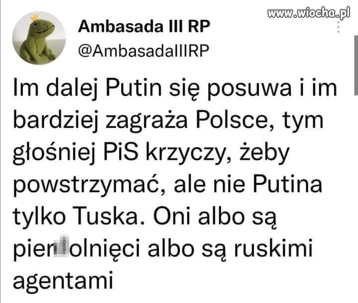 Coś w tym jest... 