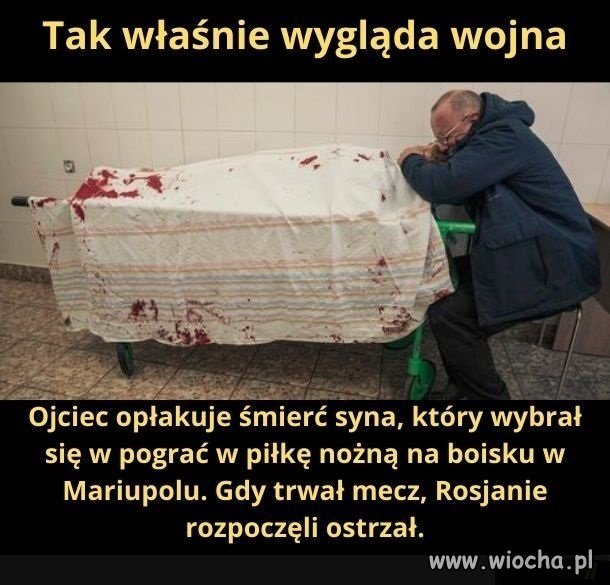 Putin ty qrwo