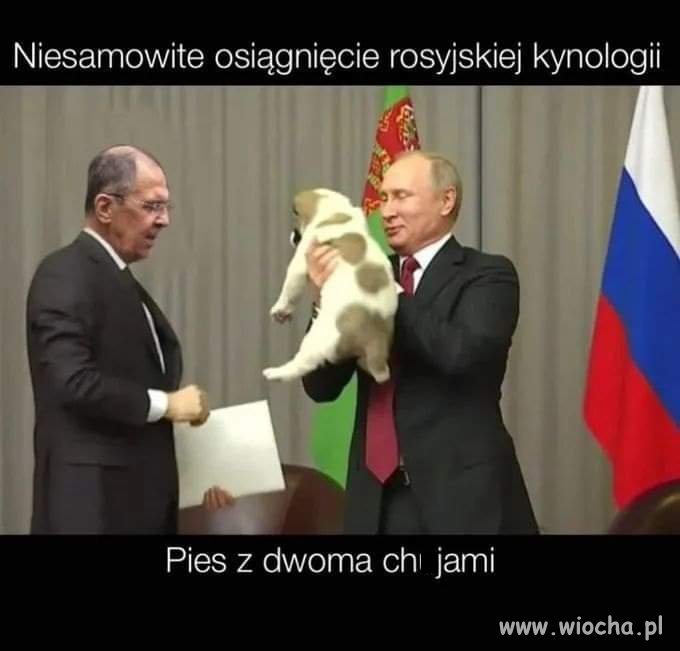Potwierdzam 