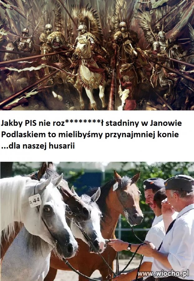 Armia rozwalona...nawet koni brak