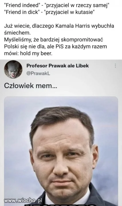 Człowiek mem