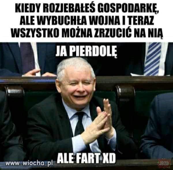Cały kaczystan