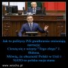 Wilki w PiSie, przebrały się w owczą skórę...