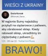 Wieści 