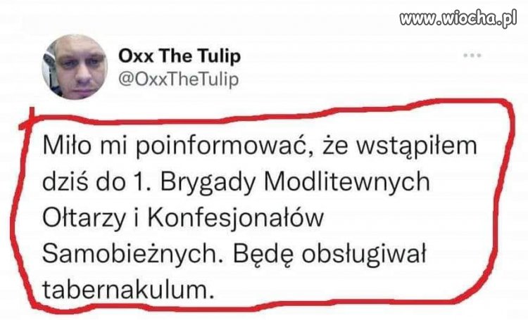 Tylko to tu zostawię