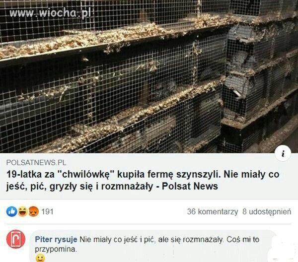 Pisplus?  