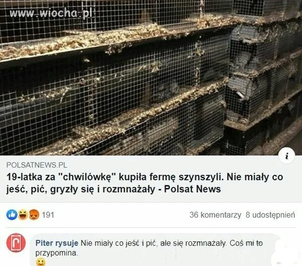 Pisplus?  