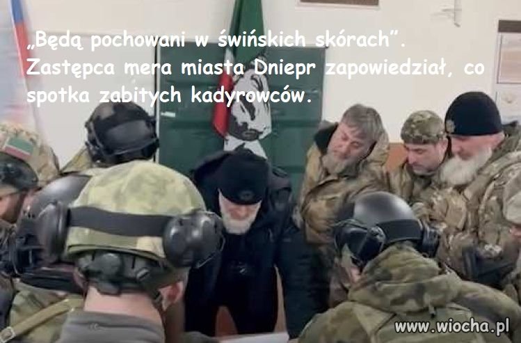 Garniak z wieprzowiny